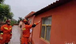 哈利庭审最新爆料视频大全,视频大全揭秘惊人内幕