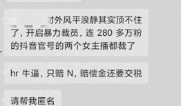 互联网裁员爆料案例视频,揭秘裁员背后的真相与影响